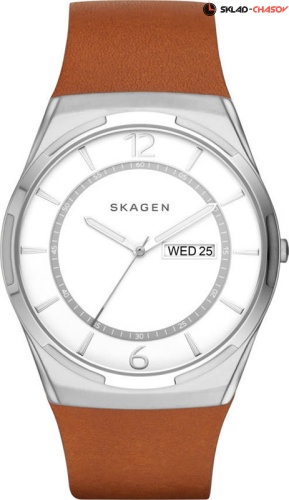 Skagen LEATHER SKW6304 фото