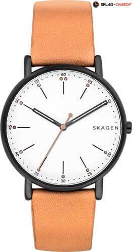 Skagen Leather SKW6352 фото