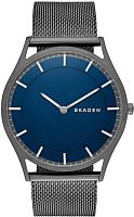 Skagen Mesh SKW6223 фото