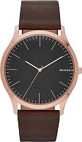 Skagen LEATHER SKW6330 фото