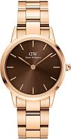 Daniel Wellington DW00100462 фото