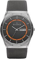 Skagen Titanium SKW6007 фото
