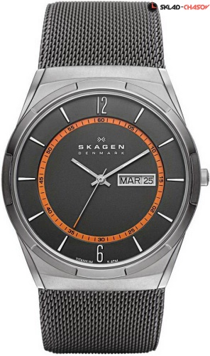 Skagen Titanium SKW6007 фото