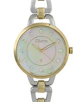 Charm 14164733 фото
