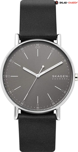 Skagen Holst SKW6654 фото