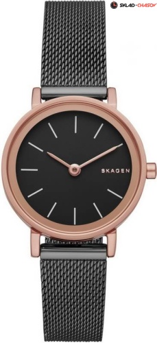Skagen Mesh SKW2492 фото