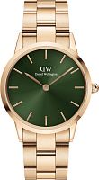 Daniel Wellington DW00100419 фото