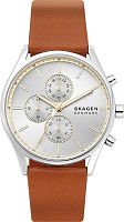 Skagen Holst SKW6607 фото