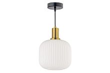 Люстра подвесная Arti Lampadari Delebio E 1.P1 W фото