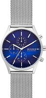 Skagen Holst SKW6652 фото
