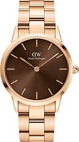 Daniel Wellington DW00100461 фото