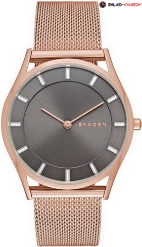 Skagen Mesh SKW2378 фото