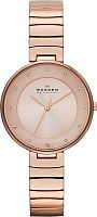 Skagen Links SKW2227 фото