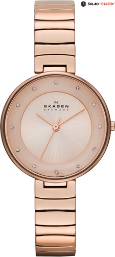 Skagen Links SKW2227 фото