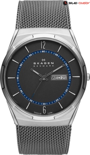Skagen Mesh SKW6078 фото