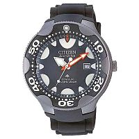 Citizen BN0015-07E фото