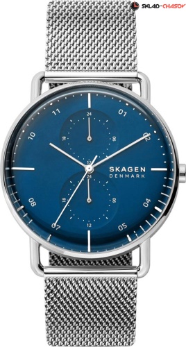 Skagen Horizont SKW6690 фото