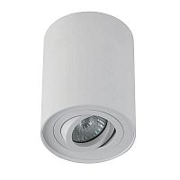 Потолочный светильник Crystal Lux CLT 410C WH фото