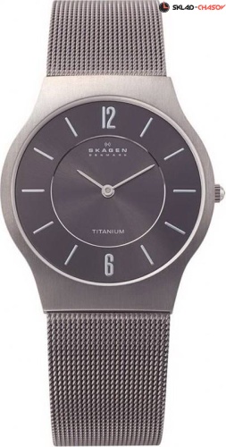 Skagen Mesh Titanium 233LTTM фото
