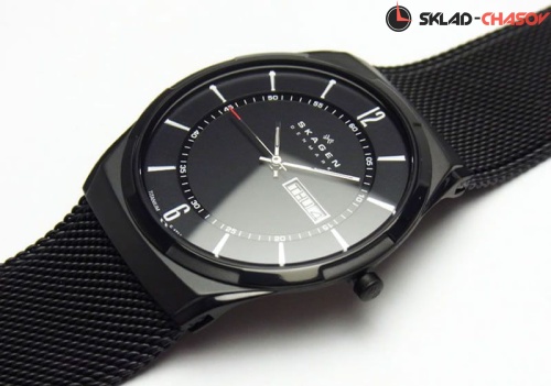 Skagen Titanium SKW6006 фото фото 2