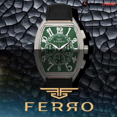 FERRO FM11447BWT-J10 фото фото 4