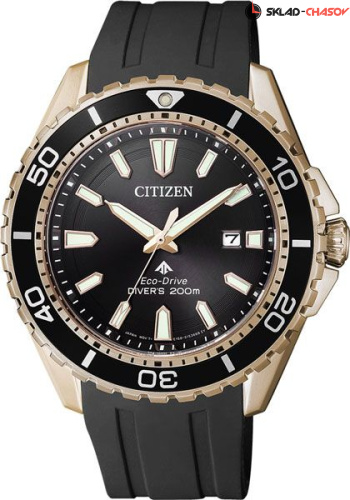 Citizen Elegance BN0193-17E фото