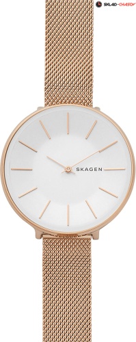 Skagen Mesh SKW2688 фото