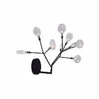 Бра Crystal Lux Evita AP9 BLack/Transparent фото