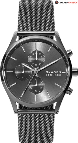 Skagen Holst SKW6608 фото