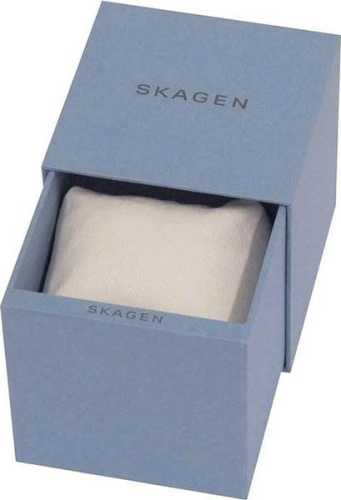 Skagen SKW2983 фото фото 2