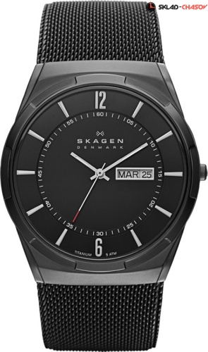 Skagen Titanium SKW6006 фото