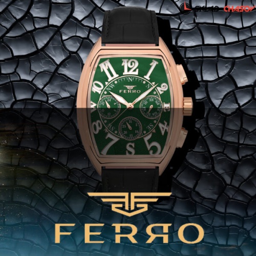 FERRO FM11447BWT-R10 фото фото 4