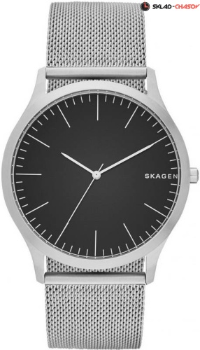 Skagen Mesh SKW6334 фото