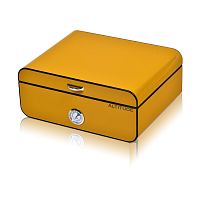 Хьюмидор для сигар XY05YELLOW фото