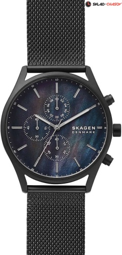 Skagen Holst SKW6651 фото