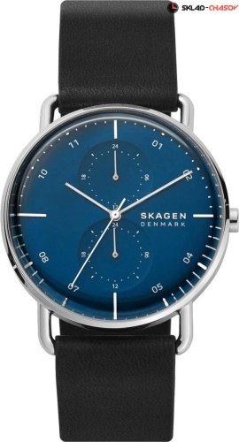 Skagen Horizont SKW6702 фото
