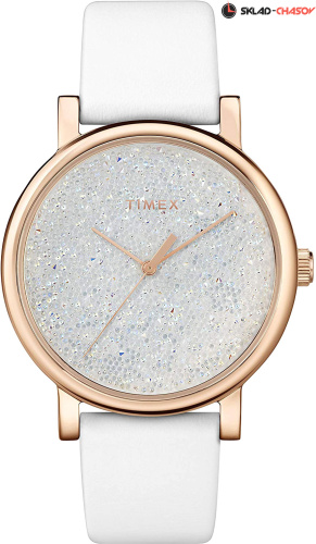 Timex TW2R95000RY фото