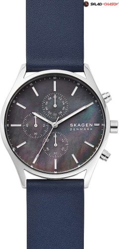 Skagen Holst SKW6653 фото