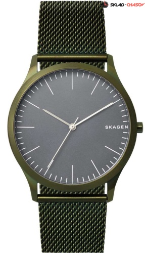 Skagen Mesh SKW6425 фото
