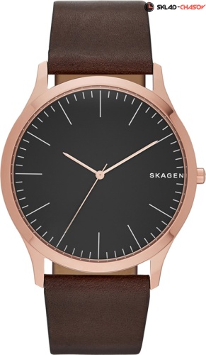 Skagen LEATHER SKW6330 фото