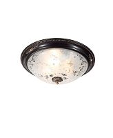 Lucia Tucci LUGO 142.3 R40 brown фото