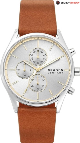 Skagen Holst SKW6607 фото