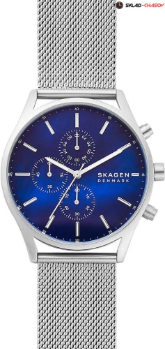 Skagen Holst SKW6652 фото