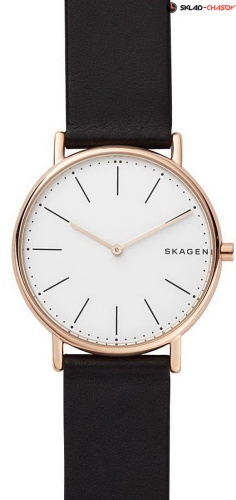 Skagen Leather SKW6430 фото